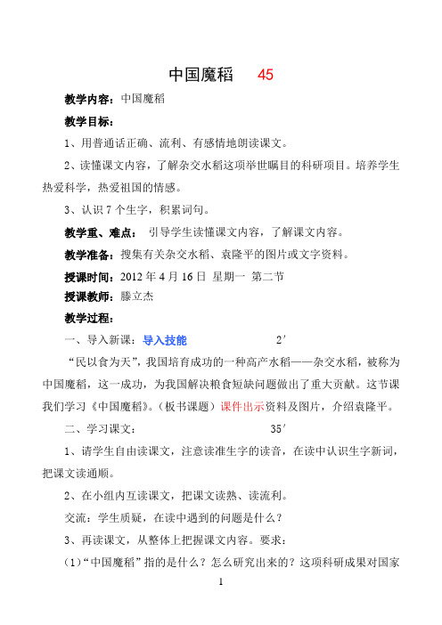 中国魔稻 45