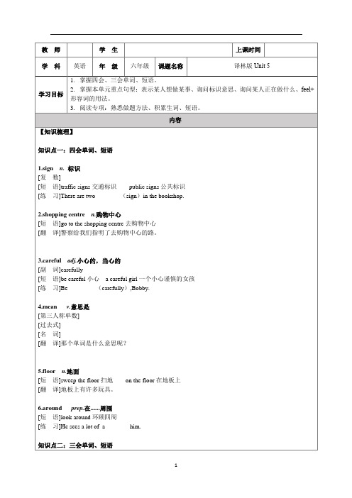 江苏译林版六年级英语Unit5讲义