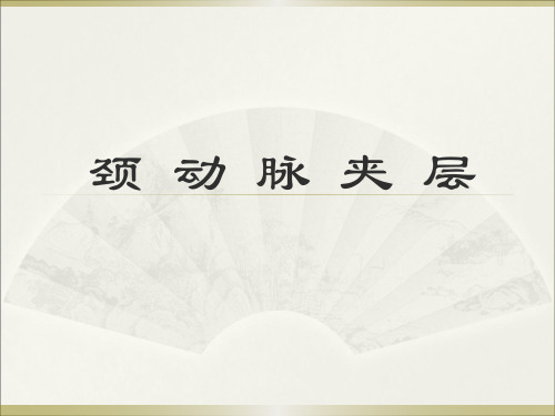 颈动脉夹层 PPT课件