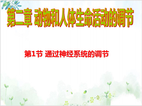 [人教版]《通过神经系统的调节》公开课课件2