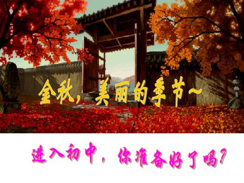 开学第一课：语文的魅力