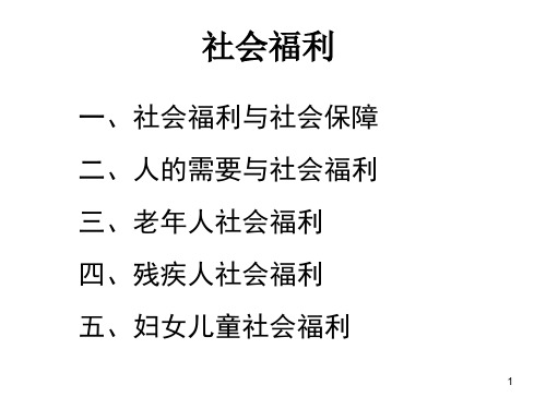 社会福利内容综合概述