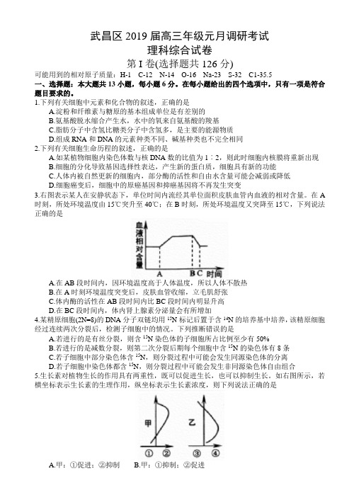 湖北省武汉市2019届高三调研考试理科综合试题及答案