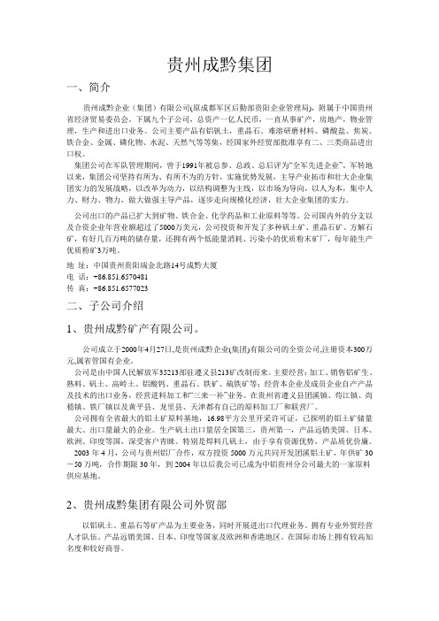 贵州成黔集团简介