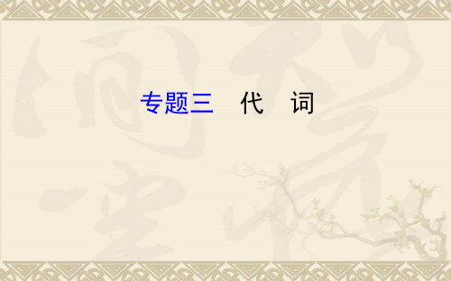 中考复习九年级英语专题复习 题型三    代 词