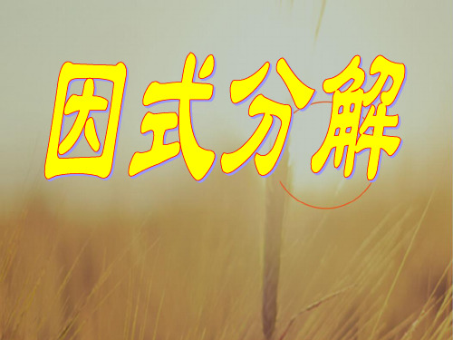 初一数学最新课件-61因式分解(2)浙教版 精品