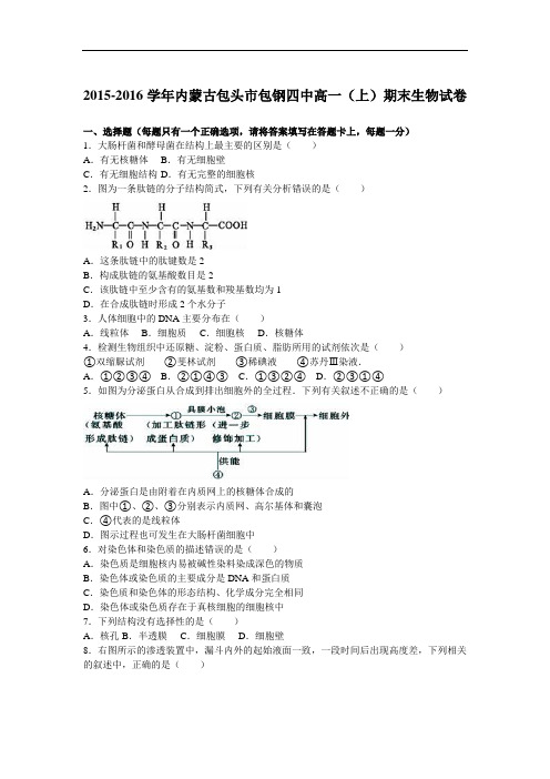内蒙古包头市包钢四中2015-2016学年高一上学期期末生