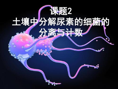 人教版教学课件选修一2..2土壤中分解尿素的细菌的分离与计数课件