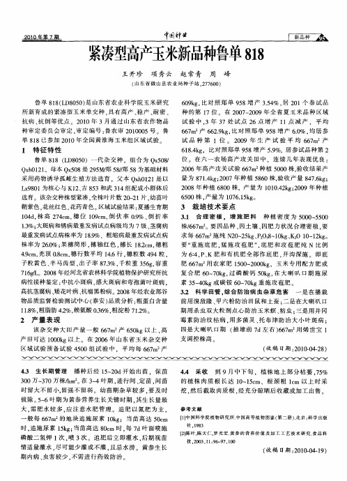 紧凑型高产玉米新品种鲁单818