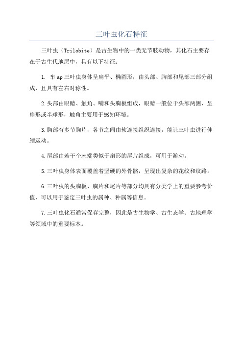 三叶虫化石特征