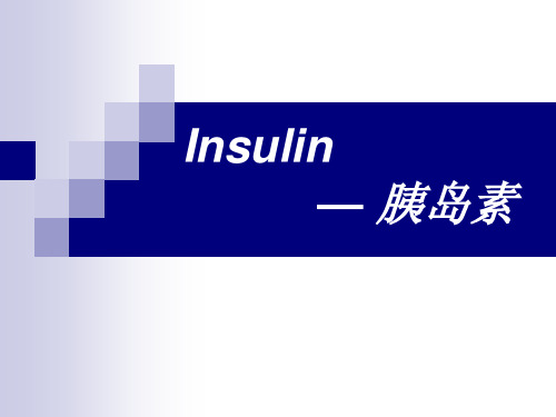 胰岛素PPT课件