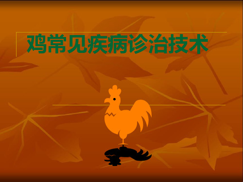 鸡常见疾病诊治技术
