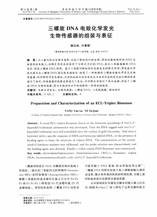 三螺旋DNA电致化学发光生物传感器的组装与表征