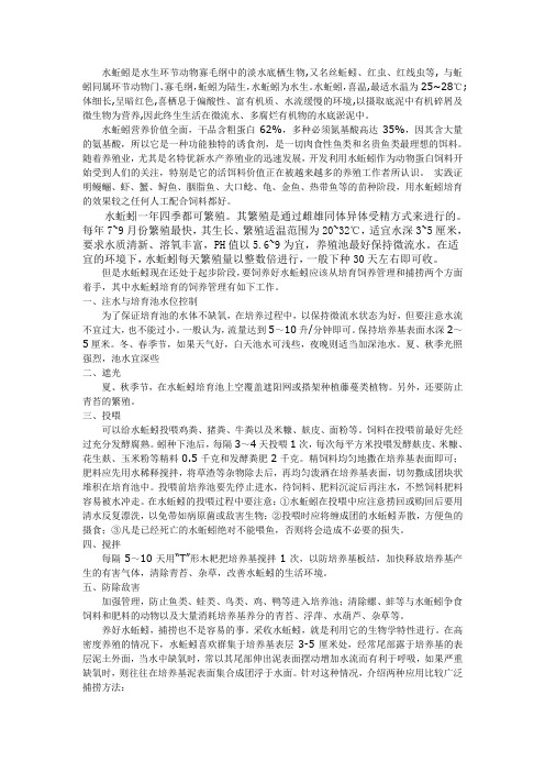 生物饵料培养