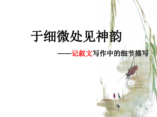 关于细节的作文指导-江苏省海头高级中学高一下学期语文课件(共33张PPT)
