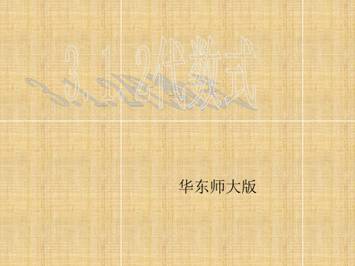 华东师大版七年级数学上3.1.2代数式.ppt精编版