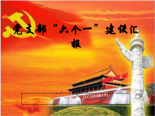 党支部六个一建设汇报