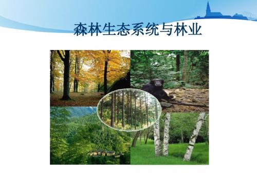 森林生态系统与林业