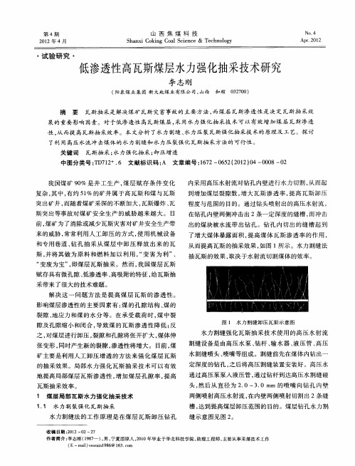 低渗透性高瓦斯煤层水力强化抽采技术研究