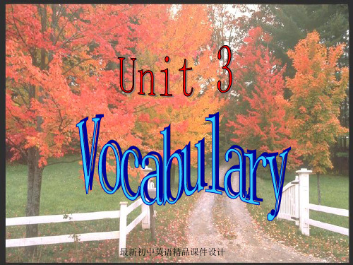 最新牛津译林版九年级英语上册《Unit 3 Teenage problems VOCABULARY》精品课件 