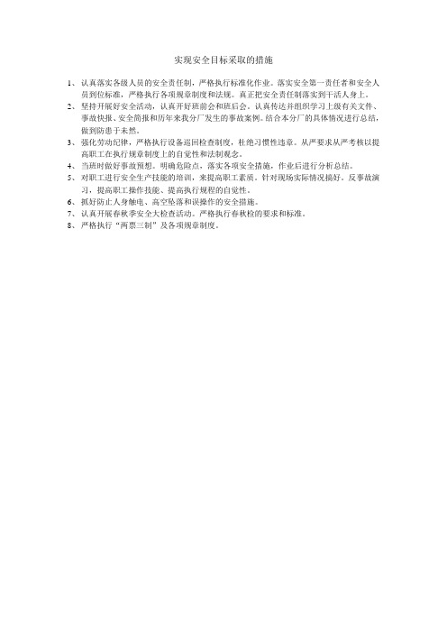 实现安全目标采取的措施