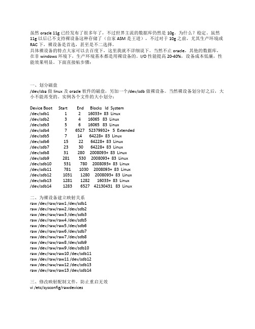 oracle 10g使用裸设备建实例