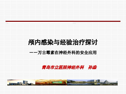 颅内感染与万古霉素的应用ppt课件