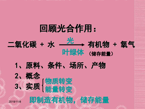 北师大版初一上册生物第3单元5第2节呼吸作用PPT课件(12)