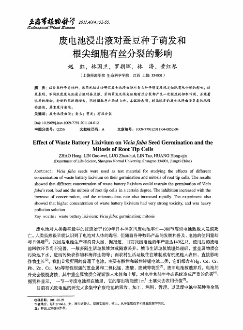废电池浸出液对蚕豆种子萌发和根尖细胞有丝分裂的影响