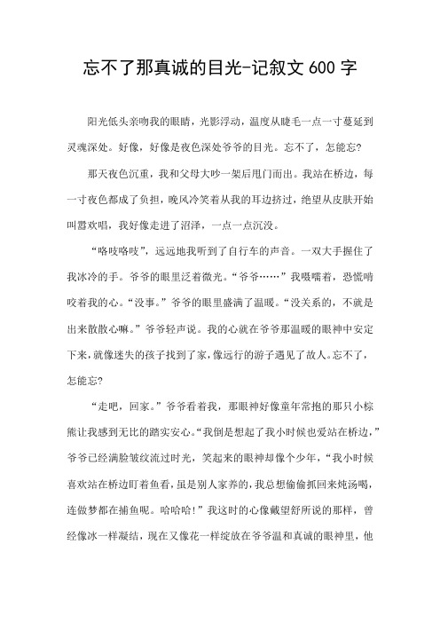 忘不了那真诚的目光-记叙文600字