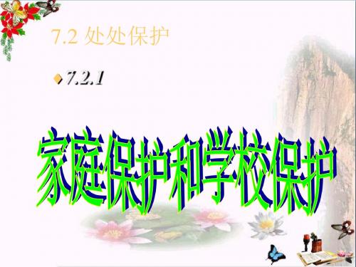 家庭保护和学校保护PPT优秀课件 鲁教版(共30张)