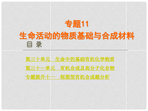 高考化学一轮复习方案 第30讲 生命中的基础有机化学物