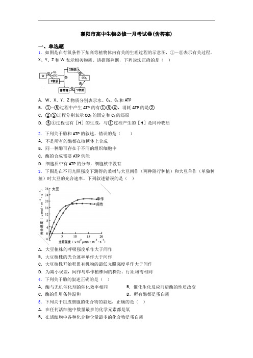 襄阳市高中生物必修一月考试卷(含答案)