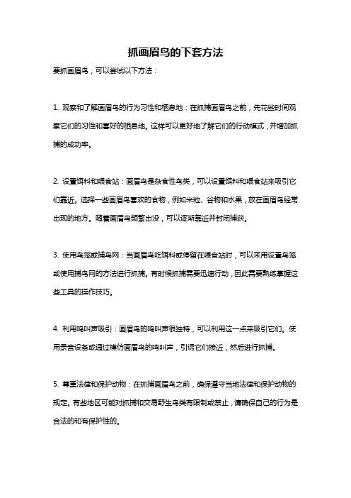 抓画眉鸟的下套方法