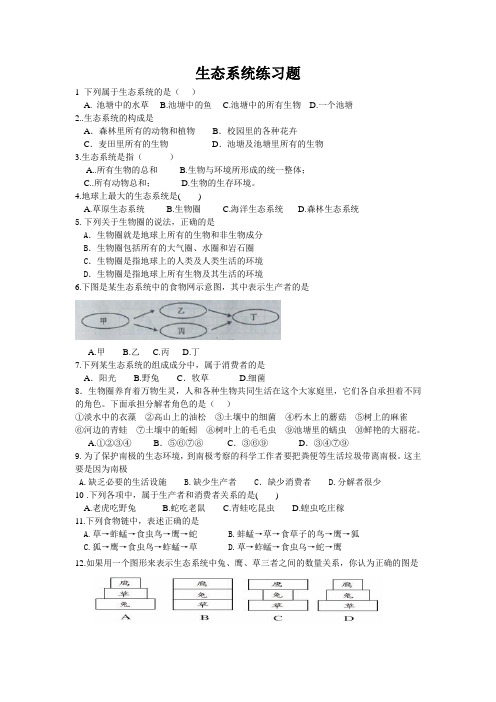 专题复习  生态系统1