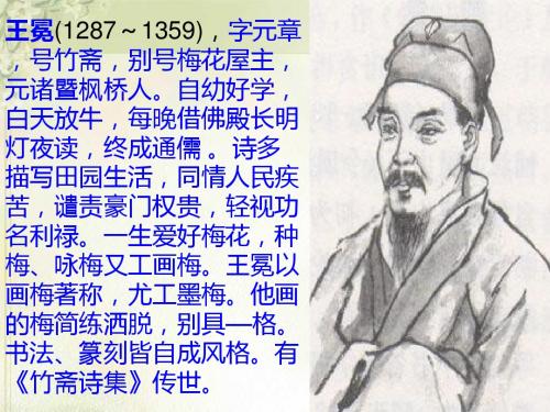 苏教版五年级上册语文《少年王冕》公开课课件PPT - 副本