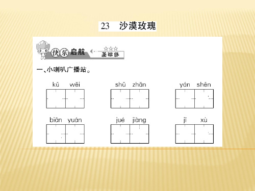 六年级上册语文课件 23 沙漠玫瑰 西师大版 (共9张PPT)