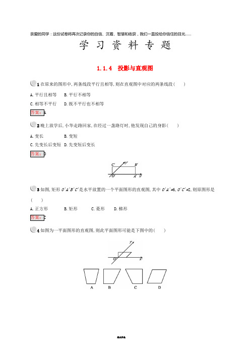 高中数学 第一章 1.1 空间几何体 1.1.4 投影与直观图练习 新人教B版必修2