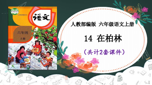 14 在柏林 课件PPT(2套)【六上部编】