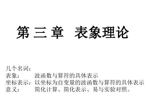 第三章 表象