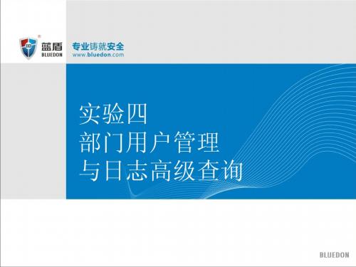 蓝盾安全审计4