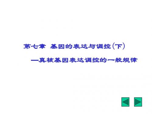 真核基因表达调控特点
