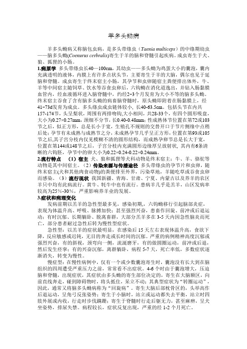 羊多头蚴病概述