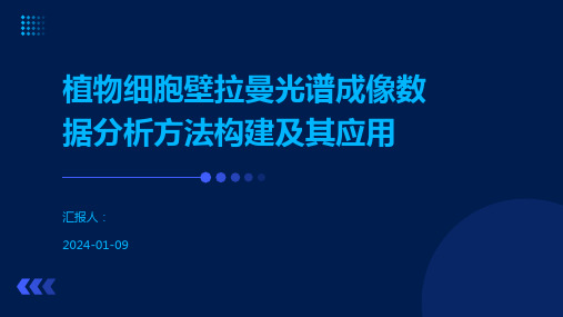 植物细胞壁拉曼光谱成像数据分析方法构建及其应用