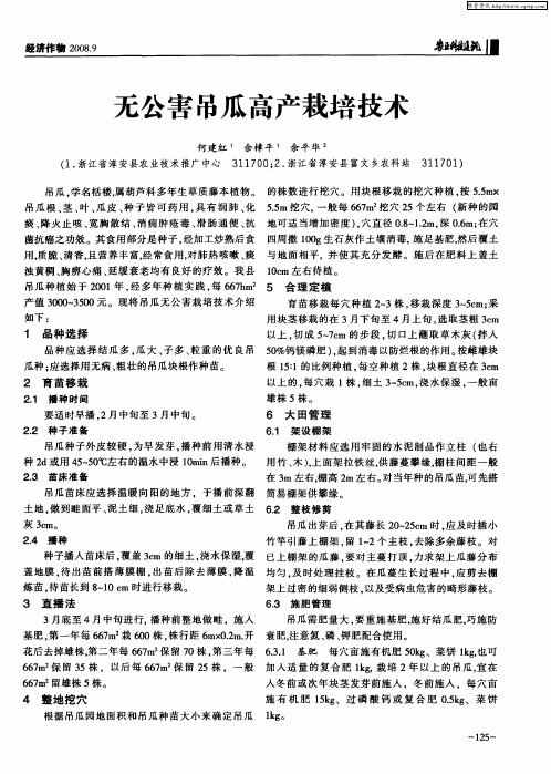 无公害吊瓜高产栽培技术