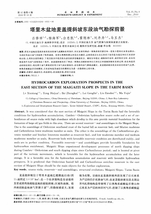 塔里木盆地麦盖提斜坡东段油气勘探前景
