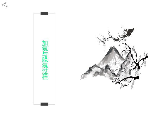 加氢与脱氢过程