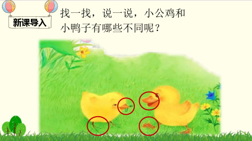 部编教材一年级下册语文《小公鸡和小鸭子》ppt精讲课件