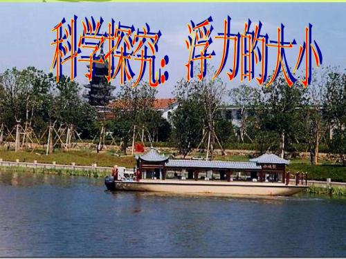 10.3科学探究：浮力的大小