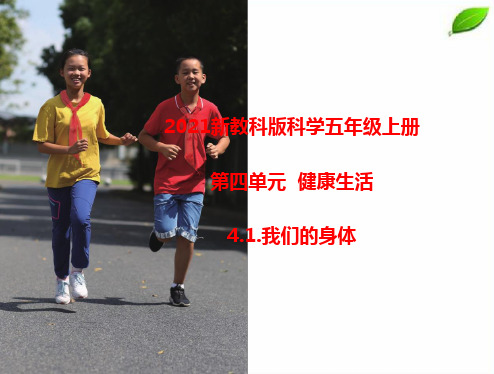 2021新教科版五年级上册科学第四单元《健康生活》课件